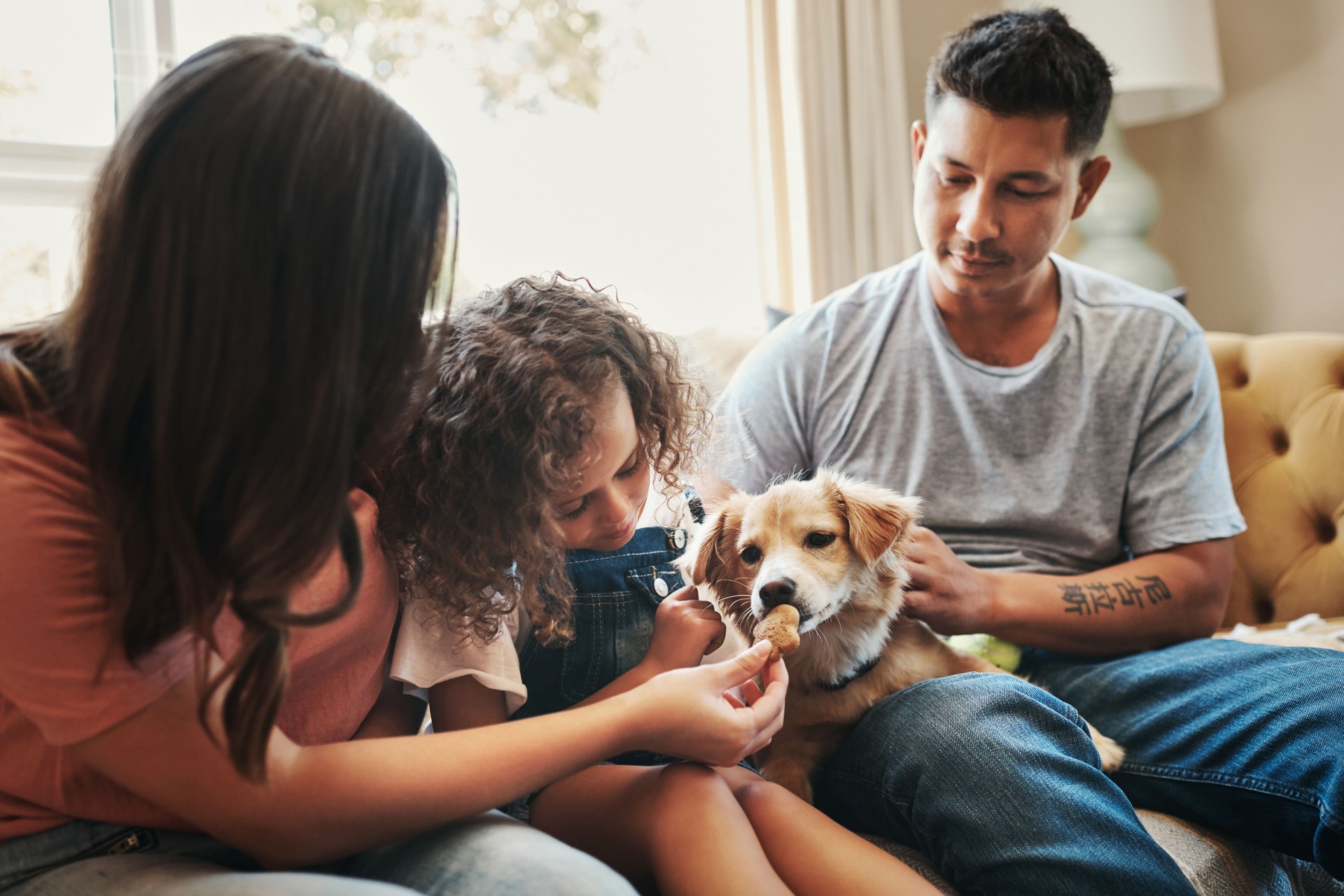 Shot of a young family sitting on the sofa at home and bonding with their dog